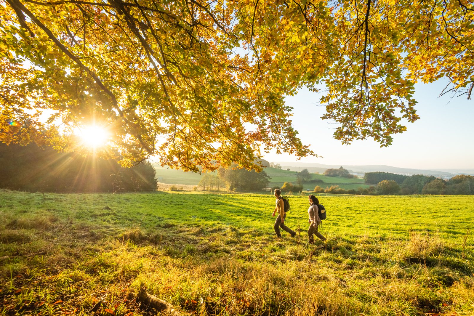 Herbst