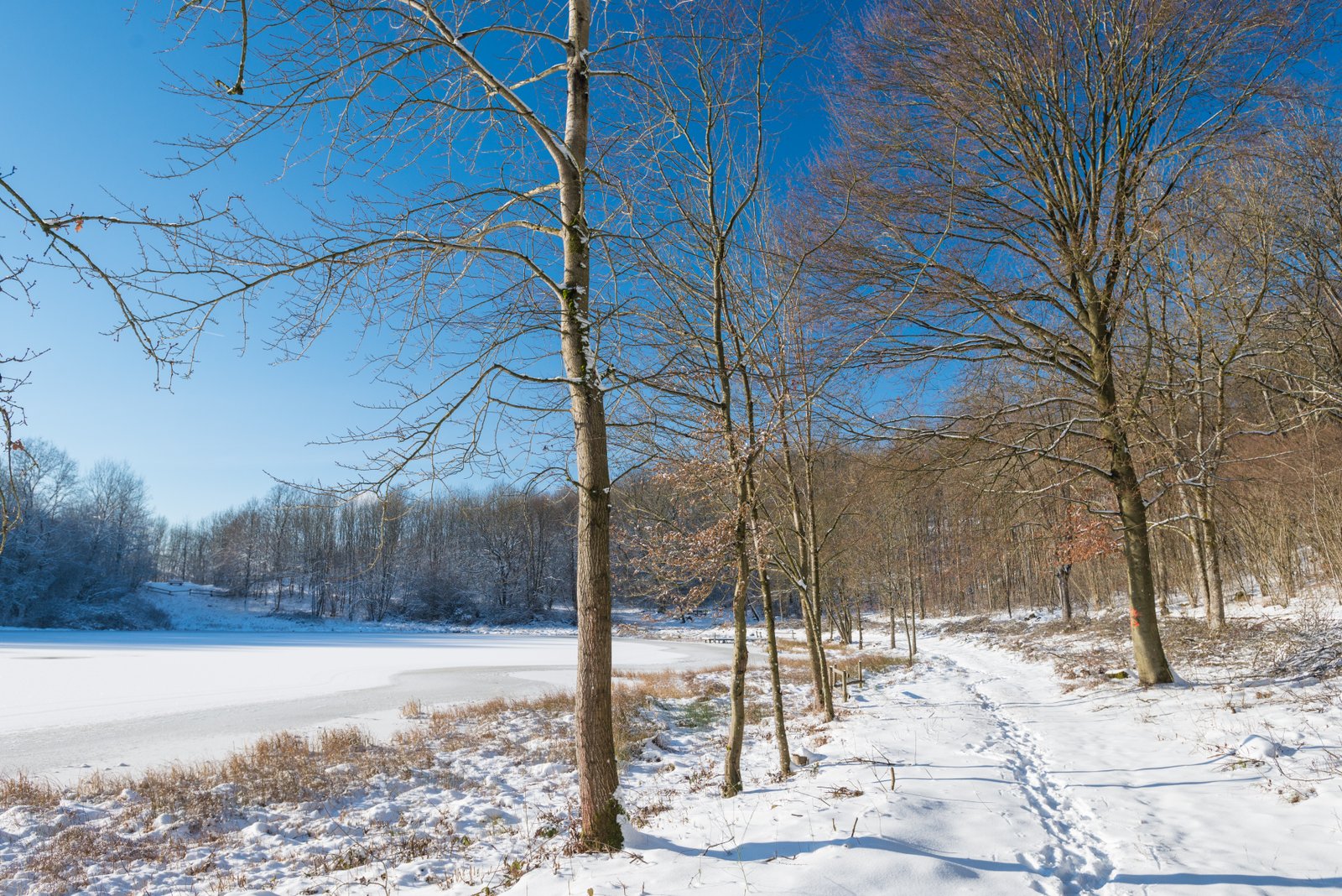 Winter