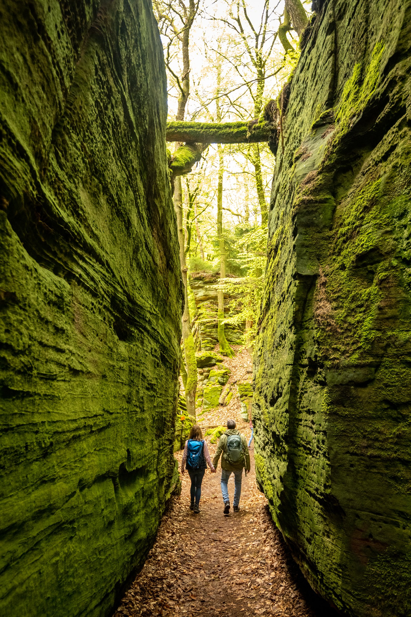 Wandern